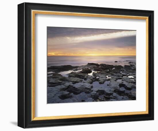 California, San Diego, Sunset Cliffs, Sunset over Tide Pools-Christopher Talbot Frank-Framed Photographic Print