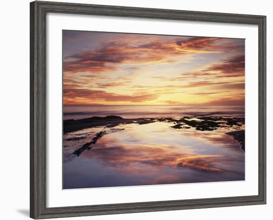 California, San Diego, Sunset Cliffs, Sunset Reflecting in a Tide Pool-Christopher Talbot Frank-Framed Photographic Print