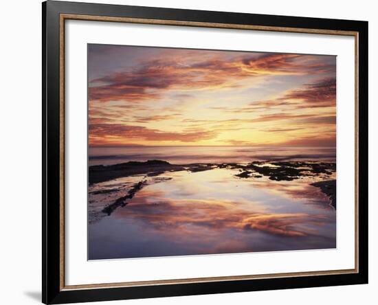 California, San Diego, Sunset Cliffs, Sunset Reflecting in a Tide Pool-Christopher Talbot Frank-Framed Photographic Print