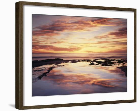 California, San Diego, Sunset Cliffs, Sunset Reflecting in a Tide Pool-Christopher Talbot Frank-Framed Photographic Print