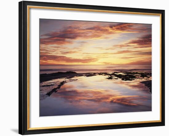 California, San Diego, Sunset Cliffs, Sunset Reflecting in a Tide Pool-Christopher Talbot Frank-Framed Photographic Print