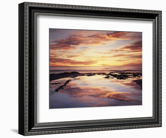 California, San Diego, Sunset Cliffs, Sunset Reflecting in a Tide Pool-Christopher Talbot Frank-Framed Photographic Print