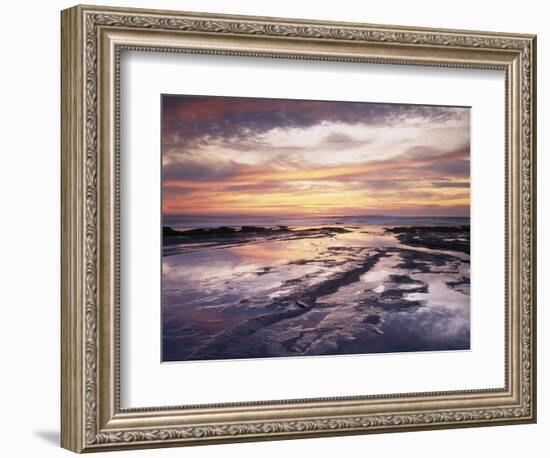 California, San Diego, Sunset Cliffs, Sunset Reflecting in Tide Pools-Christopher Talbot Frank-Framed Photographic Print