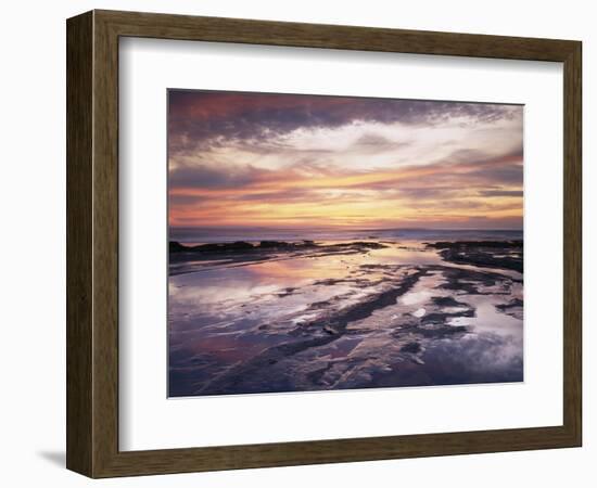 California, San Diego, Sunset Cliffs, Sunset Reflecting in Tide Pools-Christopher Talbot Frank-Framed Photographic Print