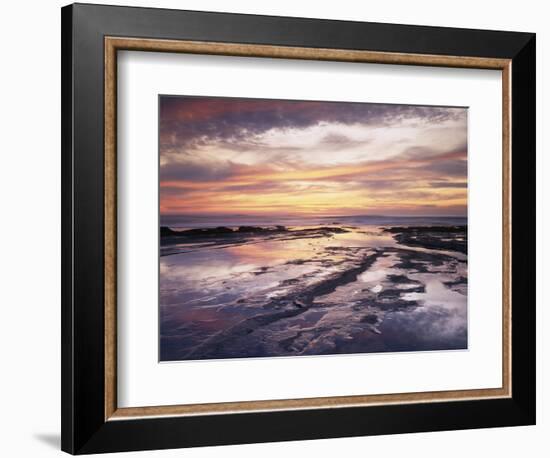 California, San Diego, Sunset Cliffs, Sunset Reflecting in Tide Pools-Christopher Talbot Frank-Framed Photographic Print