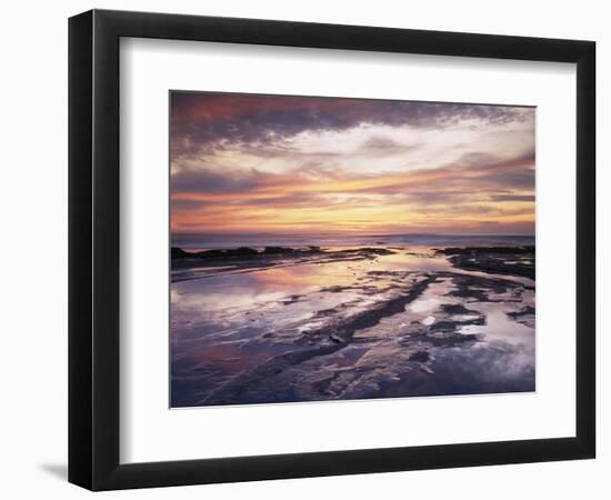 California, San Diego, Sunset Cliffs, Sunset Reflecting in Tide Pools-Christopher Talbot Frank-Framed Photographic Print