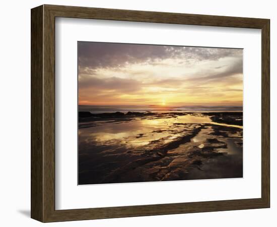 California, San Diego, Sunset Cliffs, Sunset Reflecting in Tide Pools-Christopher Talbot Frank-Framed Photographic Print