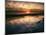 California, San Diego, Sunset Cliffs, Sunset Reflecting in Tide Pools-Christopher Talbot Frank-Mounted Photographic Print