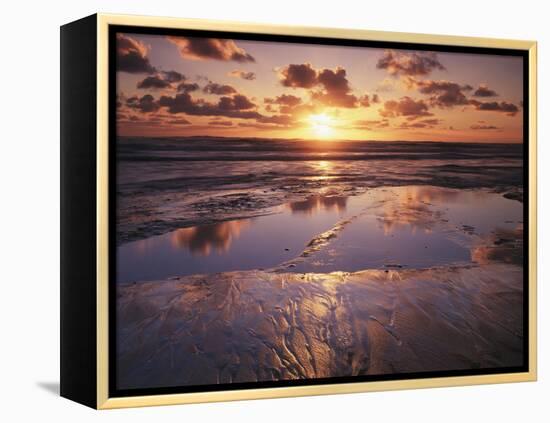 California, San Diego, Sunset Cliffs, Sunset Reflecting on a Beach-Christopher Talbot Frank-Framed Premier Image Canvas