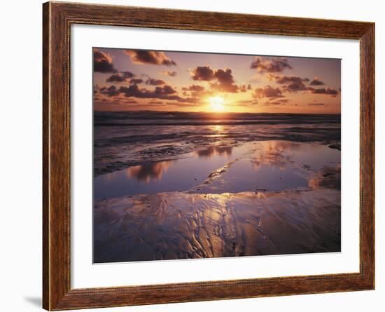 California, San Diego, Sunset Cliffs, Sunset Reflecting on a Beach-Christopher Talbot Frank-Framed Photographic Print