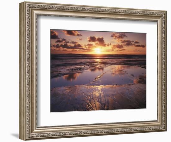 California, San Diego, Sunset Cliffs, Sunset Reflecting on a Beach-Christopher Talbot Frank-Framed Photographic Print