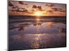 California, San Diego, Sunset Cliffs, Sunset Reflecting on a Beach-Christopher Talbot Frank-Mounted Photographic Print