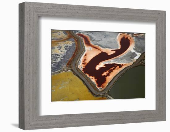 California, San Francisco, Colorful Algae in Salt Evaporation Ponds-David Wall-Framed Photographic Print