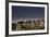 California, San Francisco. Composite of Star Trails Above Painted Ladies Victorian Homes-Jaynes Gallery-Framed Photographic Print