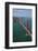 California, San Francisco, Golden Gate Bridge and San Francisco Bay-David Wall-Framed Photographic Print