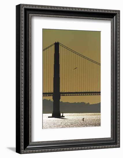 California, San Francisco, Golden Gate Bridge and San Francisco Bay-David Wall-Framed Photographic Print