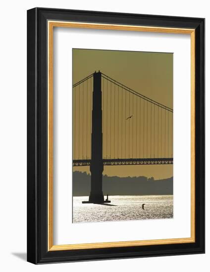 California, San Francisco, Golden Gate Bridge and San Francisco Bay-David Wall-Framed Photographic Print