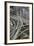 California, San Francisco, Interchange of 1-380 and US 101-David Wall-Framed Photographic Print