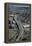 California, San Francisco, Southern Embarcadero Freeway, Aerial-David Wall-Framed Premier Image Canvas