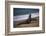 California, San Luis Obispo. Elephant Seal Colony at Piedras Blancas-Kymri Wilt-Framed Photographic Print