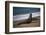 California, San Luis Obispo. Elephant Seal Colony at Piedras Blancas-Kymri Wilt-Framed Photographic Print