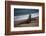 California, San Luis Obispo. Elephant Seal Colony at Piedras Blancas-Kymri Wilt-Framed Photographic Print