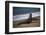 California, San Luis Obispo. Elephant Seal Colony at Piedras Blancas-Kymri Wilt-Framed Photographic Print