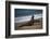 California, San Luis Obispo. Elephant Seal Colony at Piedras Blancas-Kymri Wilt-Framed Photographic Print