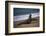 California, San Luis Obispo. Elephant Seal Colony at Piedras Blancas-Kymri Wilt-Framed Photographic Print