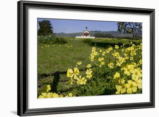 California, San Simeon, Yellow Wood Sorrel in Front of a School House-Alison Jones-Framed Photographic Print