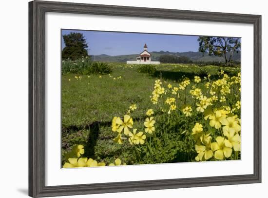 California, San Simeon, Yellow Wood Sorrel in Front of a School House-Alison Jones-Framed Photographic Print