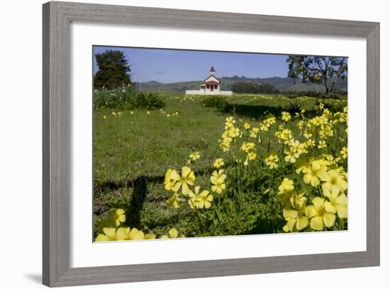 California, San Simeon, Yellow Wood Sorrel in Front of a School House-Alison Jones-Framed Photographic Print