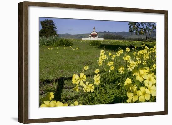 California, San Simeon, Yellow Wood Sorrel in Front of a School House-Alison Jones-Framed Photographic Print