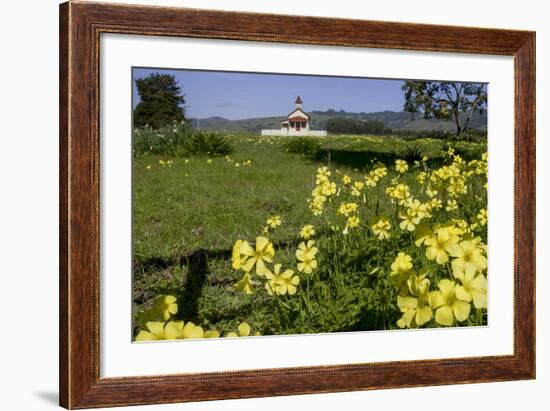 California, San Simeon, Yellow Wood Sorrel in Front of a School House-Alison Jones-Framed Photographic Print