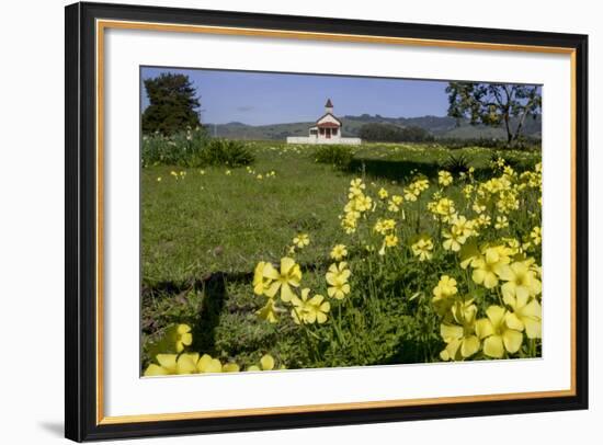 California, San Simeon, Yellow Wood Sorrel in Front of a School House-Alison Jones-Framed Photographic Print