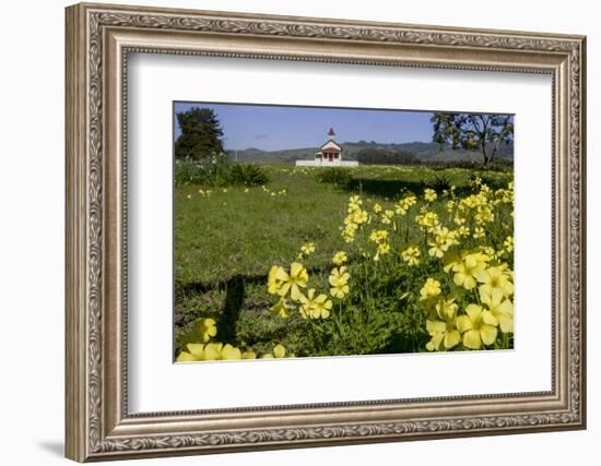 California, San Simeon, Yellow Wood Sorrel in Front of a School House-Alison Jones-Framed Photographic Print