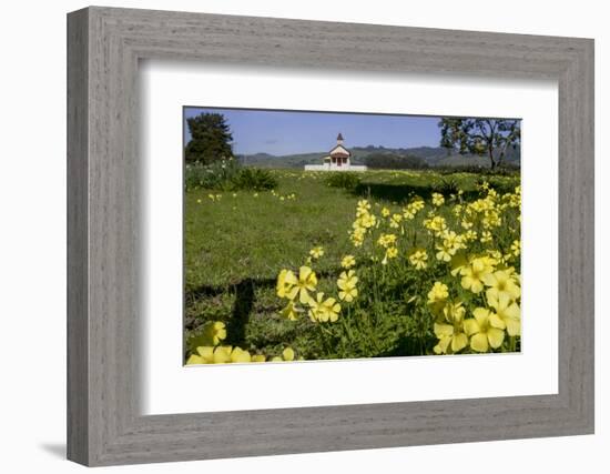 California, San Simeon, Yellow Wood Sorrel in Front of a School House-Alison Jones-Framed Photographic Print