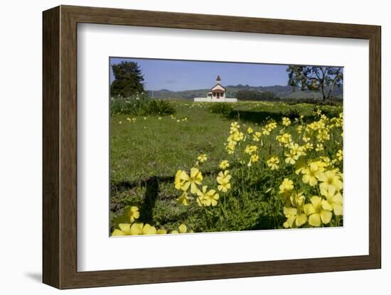 California, San Simeon, Yellow Wood Sorrel in Front of a School House-Alison Jones-Framed Photographic Print