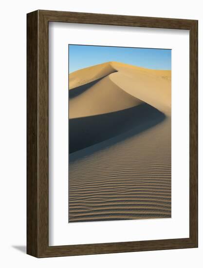 California. Sand Dunes in Mojave Trails National Monument-Judith Zimmerman-Framed Photographic Print