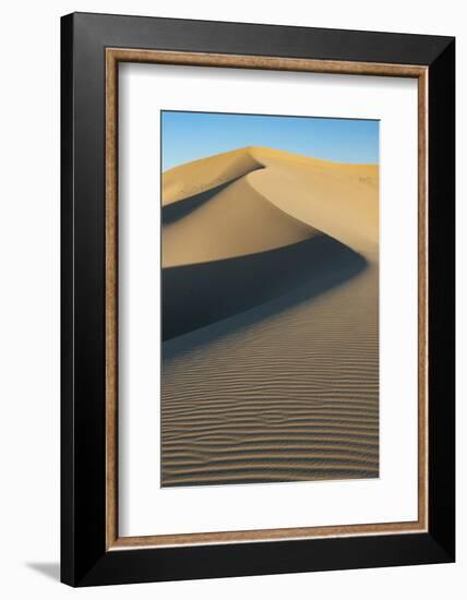 California. Sand Dunes in Mojave Trails National Monument-Judith Zimmerman-Framed Photographic Print