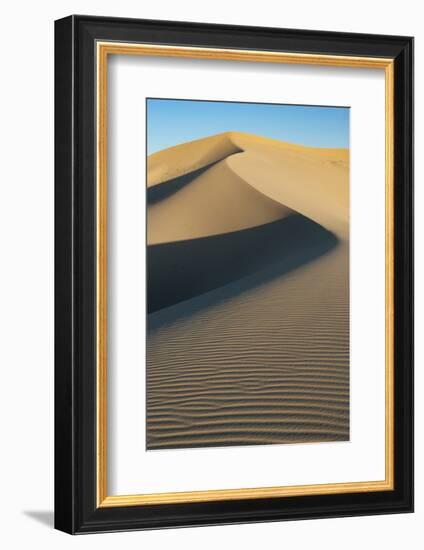 California. Sand Dunes in Mojave Trails National Monument-Judith Zimmerman-Framed Photographic Print