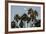 California, Santa Barbara, Bird Sanctuary at Full Moon, Palm Trees-Alison Jones-Framed Photographic Print