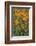 California, Santa Barbara Botanical Garden, California Poppy-Rob Tilley-Framed Photographic Print