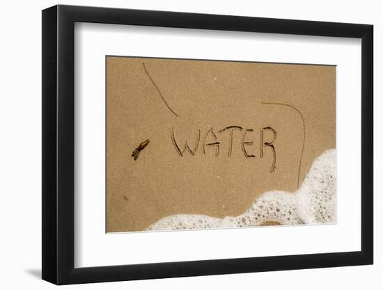 California, Santa Barbara Co, Jalama Beach, Water Written in Sand-Alison Jones-Framed Photographic Print