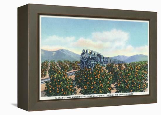 California - Santa Fe Train Passing Through Orange Groves-Lantern Press-Framed Stretched Canvas