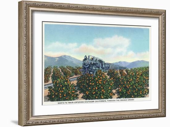 California - Santa Fe Train Passing Through Orange Groves-Lantern Press-Framed Art Print