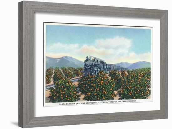 California - Santa Fe Train Passing Through Orange Groves-Lantern Press-Framed Art Print