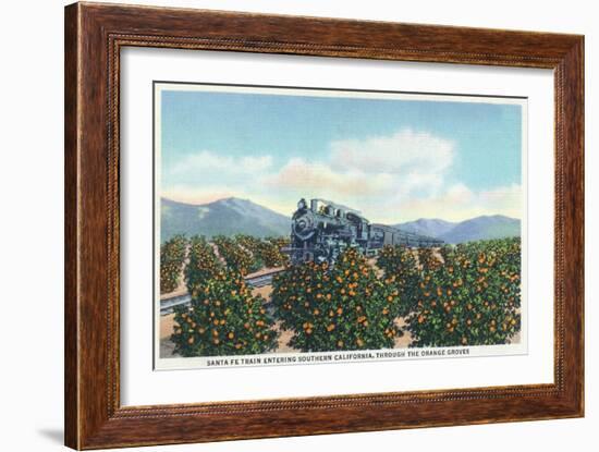 California - Santa Fe Train Passing Through Orange Groves-Lantern Press-Framed Art Print