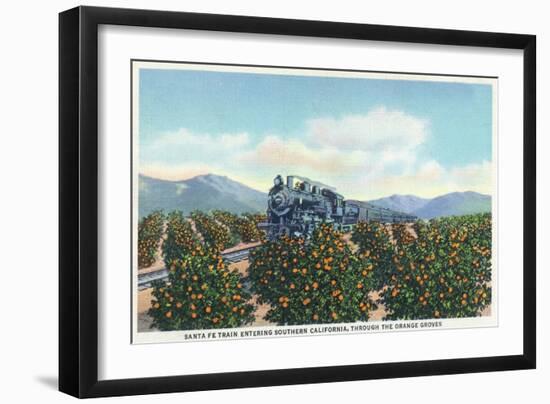 California - Santa Fe Train Passing Through Orange Groves-Lantern Press-Framed Art Print