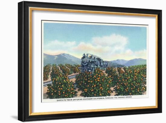 California - Santa Fe Train Passing Through Orange Groves-Lantern Press-Framed Art Print